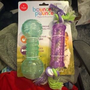 Dog Toy Set - Green and Purple